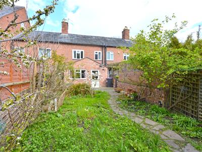 Picture 20